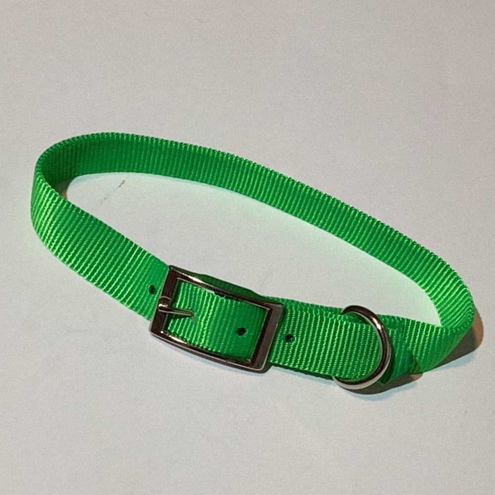Dog collar, vibrant green, strong nylon, 24” x 1”,metal hardware,adjustable fit.